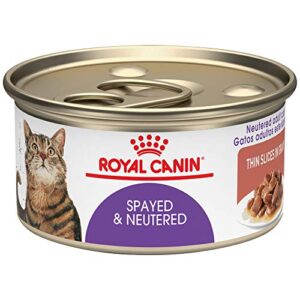 royal canin feline health nutrition spayed/neutered thin slices in gravy canned cat food, 3 oz cans 24-count