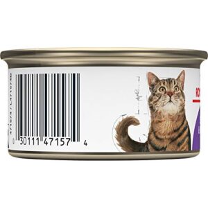 Royal Canin Feline Health Nutrition Spayed/Neutered Thin Slices In Gravy Canned Cat Food, 3 oz cans 24-count