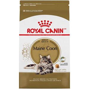 royal canin maine coon breed adult dry cat food, 6 lb bag