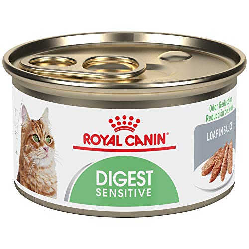 Royal Canin Feline Care Nutrition Digest Sensitive Loaf in Sauce Canned Cat Food, 3 oz can (Pack of 24)