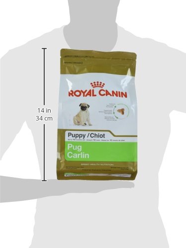 Royal Canin Breed Health Nutrition Pug Puppy Dry Dog Food, 2.5 lb