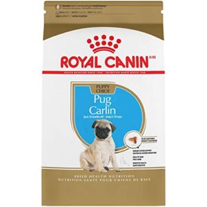 royal canin breed health nutrition pug puppy dry dog food, 2.5 lb