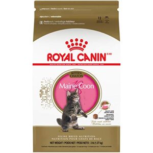 royal canin feline breed nutrition maine coon kitten dry cat food, 3 lb