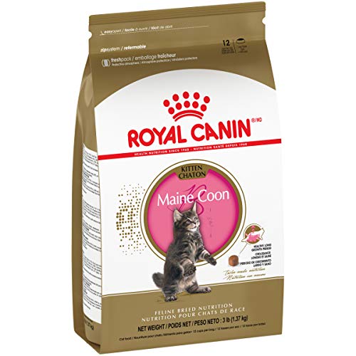 Royal Canin Feline Breed Nutrition Maine Coon Kitten Dry Cat Food, 3 lb