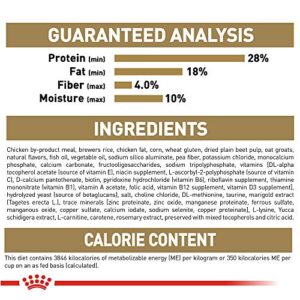 Royal Canin Breed Health Nutrition Chihuahua Puppy Dry Dog Food, 2.5 lb