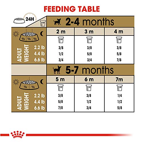 Royal Canin Breed Health Nutrition Chihuahua Puppy Dry Dog Food, 2.5 lb