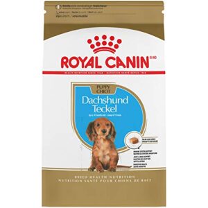 royal canin breed health nutrition dachshund puppy dry dog food, 2.5 lb