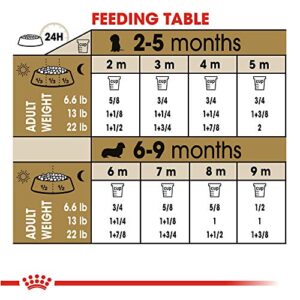 Royal Canin Breed Health Nutrition Dachshund Puppy Dry Dog Food, 2.5 lb