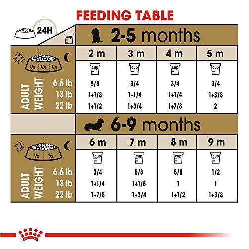 Royal Canin Breed Health Nutrition Dachshund Puppy Dry Dog Food, 2.5 lb