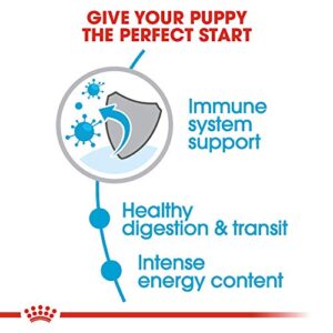 Royal Canin X-Small Puppy Dry Dog Food, 3 lb bag