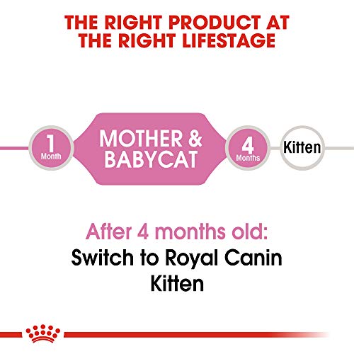 Royal Canin Feline Health Nutrition Kitten Dry Cat Food, 7 lb bag