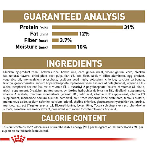 Royal Canin Breed Health Nutrition Labrador Retriever Puppy Dry Dog Food, 30 lb.