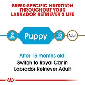 Royal Canin Breed Health Nutrition Labrador Retriever Puppy Dry Dog Food, 30 lb.
