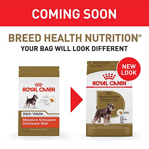 Royal Canin Miniature Schnauzer Adult Breed Specific Dry Dog Food, 10 lb bag