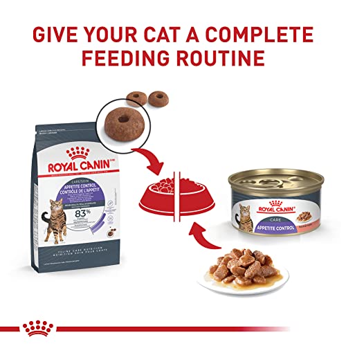 Royal Canin Feline Care Nutrition Appetite Control Dry Cat Food, 14 lb Bag