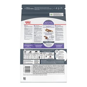 Royal Canin Feline Care Nutrition Appetite Control Dry Cat Food, 14 lb Bag