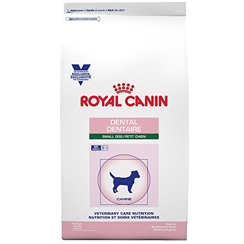 ROYAL CANIN Canine Dental Dry - Small Dog (8.8 lb)