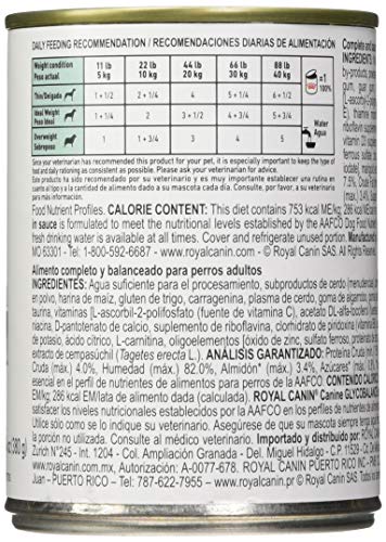 Royal Canin Veterinary Diet Canine Glycobalance In Gel Canned Dog Food, 13.4 oz, Pack of 24