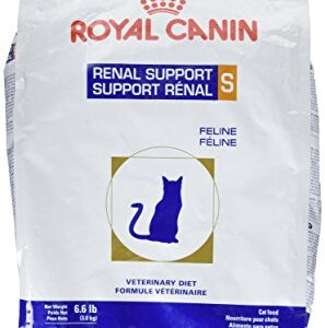 ROYAL CANIN Feline Renal Support S Dry (6.6 lb)