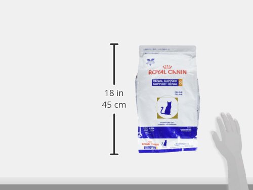 ROYAL CANIN Feline Renal Support S Dry (6.6 lb)