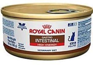 royal canin veterinary diet feline gastrointestinal high energyin gel canned cat food , 5.8 oz