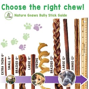 Nature Gnaws Extra Thin Bully Sticks for Dogs - Premium Natural Beef Dental Bones - Long Lasting Dog Chew Treats for Small Dogs & Puppies - Rawhide Free