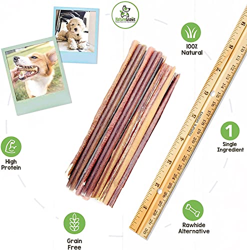 Nature Gnaws Extra Thin Bully Sticks for Dogs - Premium Natural Beef Dental Bones - Long Lasting Dog Chew Treats for Small Dogs & Puppies - Rawhide Free