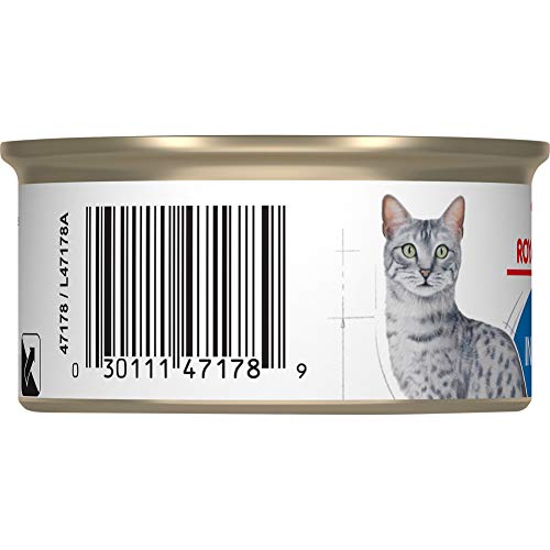 Royal Canin Adult Feline Health Nutrition Morsels in Gravy Cat Food for Indoor Cats, 3 oz cans 24-ct