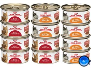 royal canin feline health nutrition canned cat food,thin slices in gravy- 3 ounce cans- 12 pack variety bundle- 2 flavors with pets food bowl (6) adult instinctive (6) intense beauty