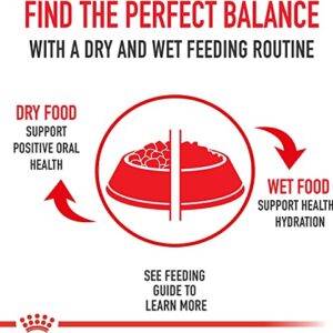 Royal Canin Feline Health Nutrition Canned Cat Food,Thin Slices in Gravy- 3 Ounce Cans- 12 Pack Variety Bundle- 2 Flavors with Pets Food Bowl (6) Adult Instinctive (6) Intense Beauty