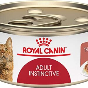 Royal Canin Feline Health Nutrition Canned Cat Food,Thin Slices in Gravy- 3 Ounce Cans- 12 Pack Variety Bundle- 2 Flavors with Pets Food Bowl (6) Adult Instinctive (6) Intense Beauty