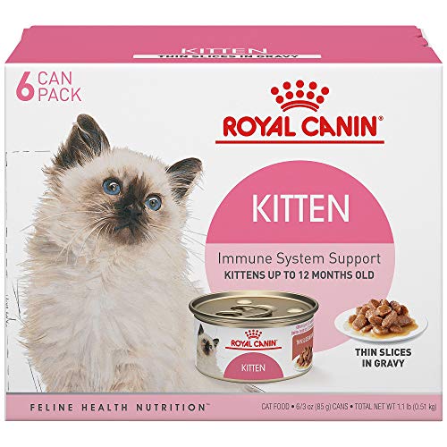 Royal Canin Feline Health Nutrition Thin Slices in Gravy Variety Pack Wet Kitten Food, 3 oz., Count of 6, 6 CT