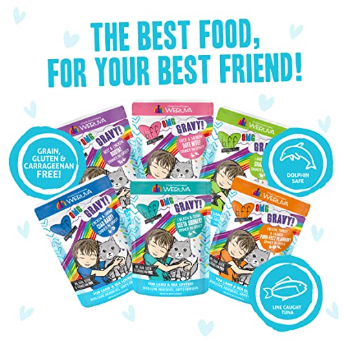 B.F.F. Omg - Best Feline Friend Oh My Gravy!, Variety Pack, Potluck O' Pouches, Wet Cat Food By Weruva, 2.8Oz Pouches (Pack Of 12)