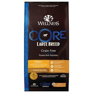 wellness natural pet food core natural grain free dry puppy food, large breed puppy, 24-pound bag
