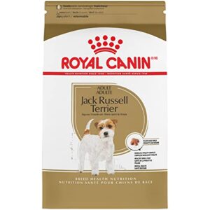 royal canin jack russell terrier adult dry dog food, 10 lb bag
