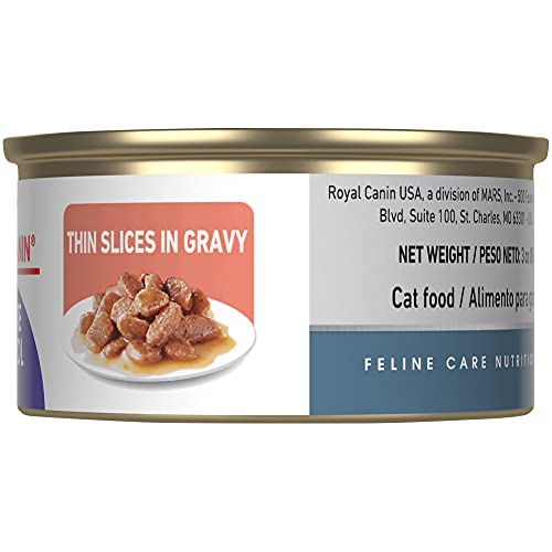 Royal Canin Feline Care Nutrition Appetite Control Thin Slices in Gravy Wet Cat Food, 3 Ounce Can (Pack of 24)