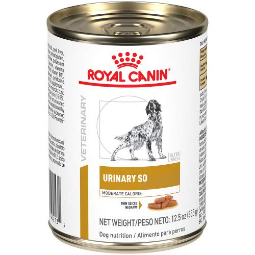 Royal Canin Canine Urinary SO Moderate Calorie Thin Slices in Gravy Canned Dog Food, 12.5 oz