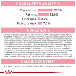 Royal Canin Feline Health Nutrition Mother & Babycat Dry Cat Food for Newborn Kittens and Pregnant or Nursing Cats, 6 lb Bag