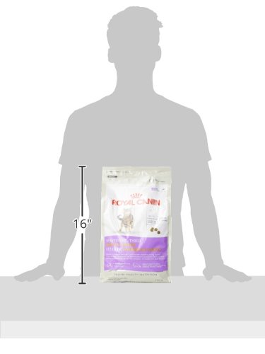 Royal Canin Feline Appetite Control Care Dry Cat Food, 6 lb