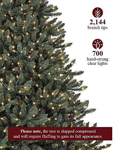 Balsam Hill 6.5ft Premium Pre-lit Artificial Christmas Tree 'Traditional' Classic Blue Spruce with Clear Incandescent Lights, Stand, Storage Bag, and Includes Fluffing Gloves, and Extra Bulbs