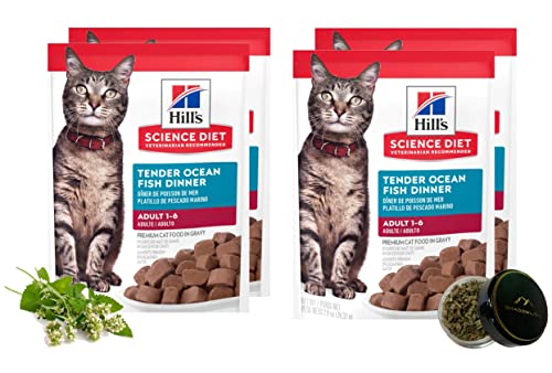 Shadowlish Hill's Science Diet Adult Cat Food Bundle with a Reusable Container of Catnip (Tender Ocean Fish Dinner)