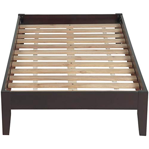 BOWERY HILL Contemporary California King Solid Wood Platform Bed in Chocolate