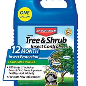 BioAdvanced 701525A Month Tree and Shrub Insect Control, 1 gal, Concentrate