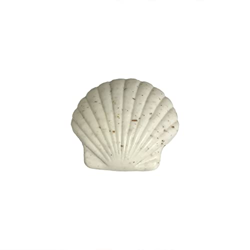 Greenwich Bay - 4.3 oz. Seashell Scented Shea Butter Soap - Island Blossom