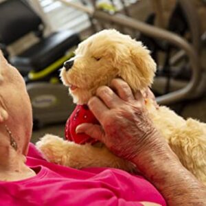 Ageless Innovation Joy For All - Companion Pets Golden Pup Lifelike & Realistic