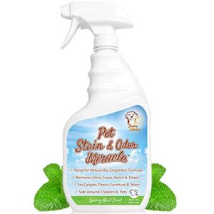 pet stain & odor miracle – enzyme cleaner for dog urine cat pee feces vomit, enzymatic solution cleans carpet rug car upholstery couch mattress furniture, natural eliminator (s/m 32fl oz)