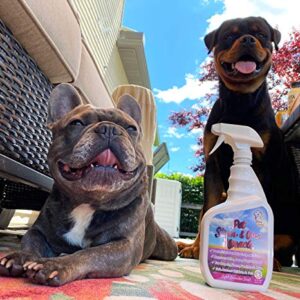 Pet Stain & Odor Miracle - Enzyme Cleaner for Dog Urine Cat Pee Feces Vomit, Enzymatic Solution Cleans Carpet Rug Car Upholstery Couch Mattress Furniture, Natural Eliminator (S/M 32FL OZ)