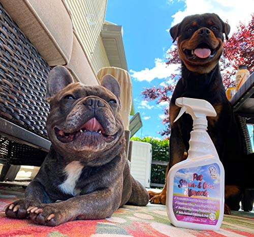 Pet Stain & Odor Miracle - Enzyme Cleaner for Dog Urine Cat Pee Feces Vomit, Enzymatic Solution Cleans Carpet Rug Car Upholstery Couch Mattress Furniture, Natural Eliminator (S/M 32FL OZ)