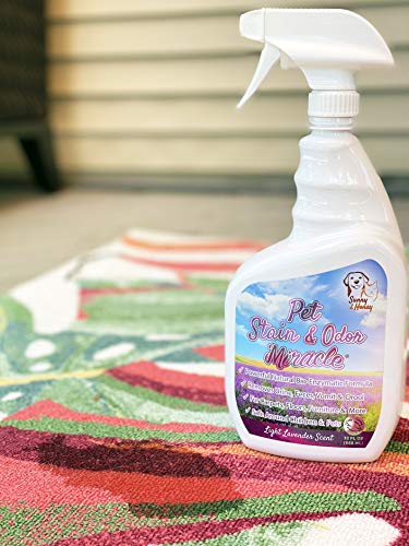 Pet Stain & Odor Miracle - Enzyme Cleaner for Dog Urine Cat Pee Feces Vomit, Enzymatic Solution Cleans Carpet Rug Car Upholstery Couch Mattress Furniture, Natural Eliminator (S/M 32FL OZ)