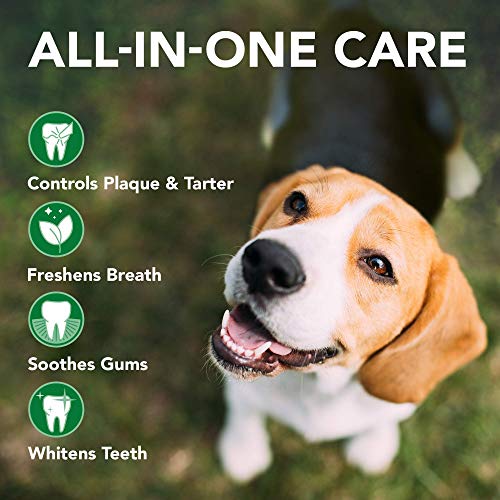 Vet’s Best Dog Toothbrush and Enzymatic Toothpaste Set | Teeth Cleaning and Fresh Breath Kit with Dental Care Guide | Vet Formulated